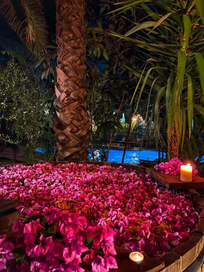 Barros Wellness & Spa Resort Boutique Los Andes Εξωτερικό φωτογραφία
